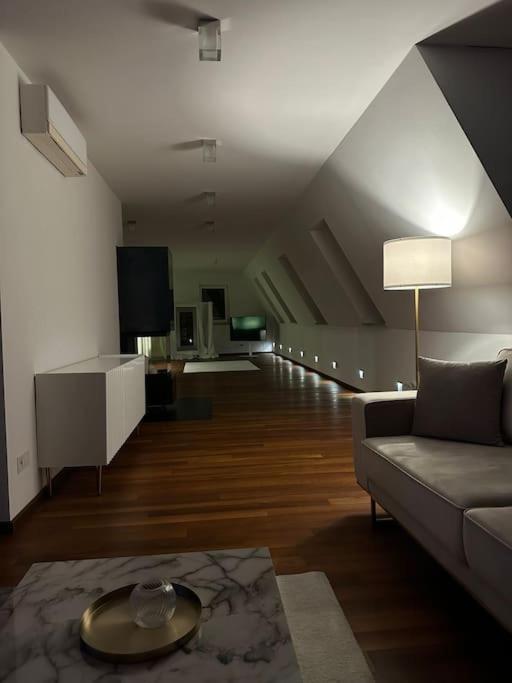 Luxury Penthouse In The Center Apartment