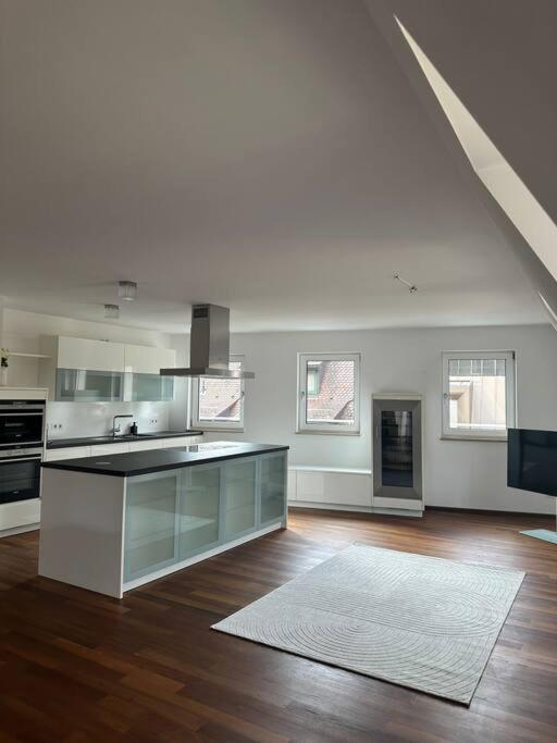 Apartment Luxury Penthouse In The Center