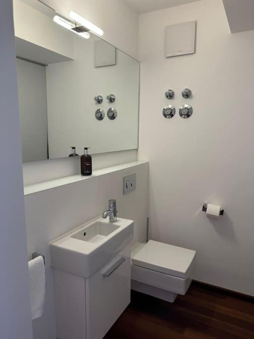 Apartment Luxury Penthouse In The Center Nuremberg